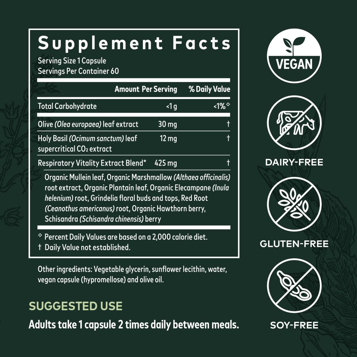 Gaia Herbs Mighty Lungs -  60 Vegan Liquid Phyto-Capsules (30-Day Supply)