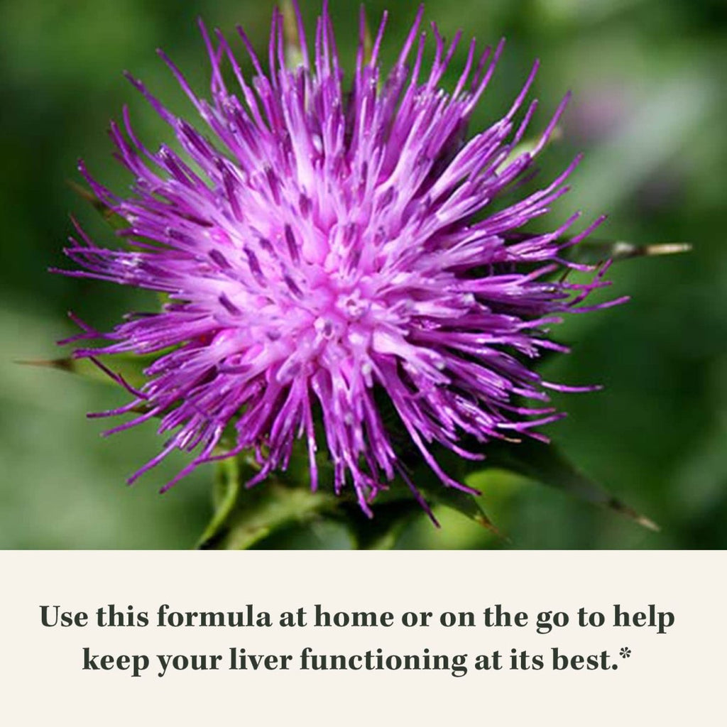 Gaia Herbs Milk Thistle - Liver Supplement & Cleanse Support for Maintaining Healthy Liver Function* - 120 Vegan Capsules (20-Day Supply)