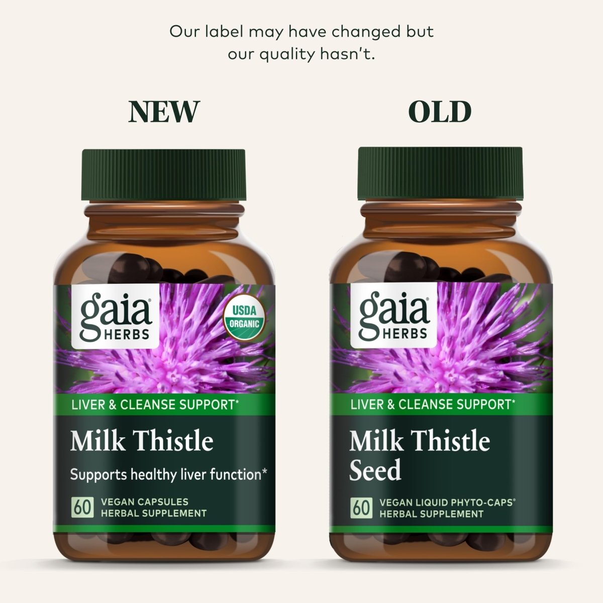 Gaia Herbs Milk Thistle - Liver Supplement & Cleanse Support for Maintaining Healthy Liver Function* - 120 Vegan Capsules (20-Day Supply)