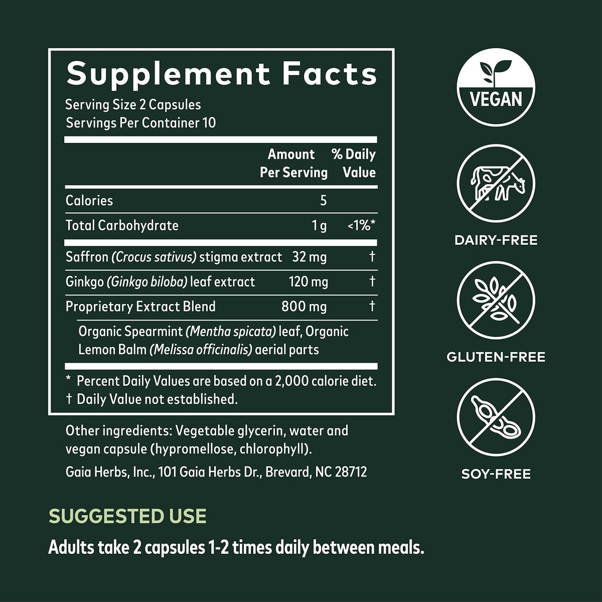 Gaia Herbs Nootropic Focus - Brain & Cognitive Support Supplement to Help Maintain Healthy Concentration* - with Saffron, Lemon Balm & Spearmint - 20 Liquid Phyto-Capsules (Up to 10-Day Supply)