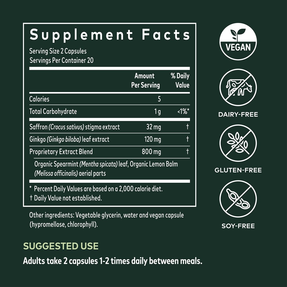 Gaia Herbs Nootropic Focus - Brain & Cognitive Support Supplement to Help Maintain Healthy Concentration* - with Saffron, Lemon Balm & Spearmint - 40 Liquid Phyto-Capsules (Up to 20-Day Supply)