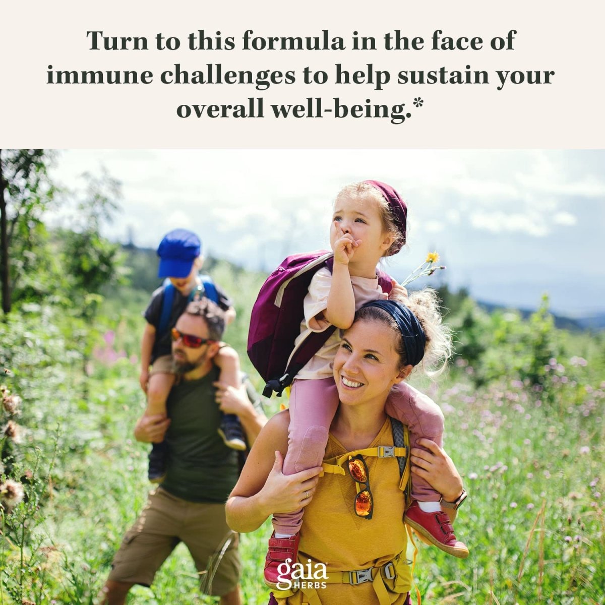 Gaia Herbs Olive Leaf - Traditional Immune Health Support - Immune System Supplement with Olive Leaf Extract and Oleuropein - 120 Vegan Liquid Phyto-Caps