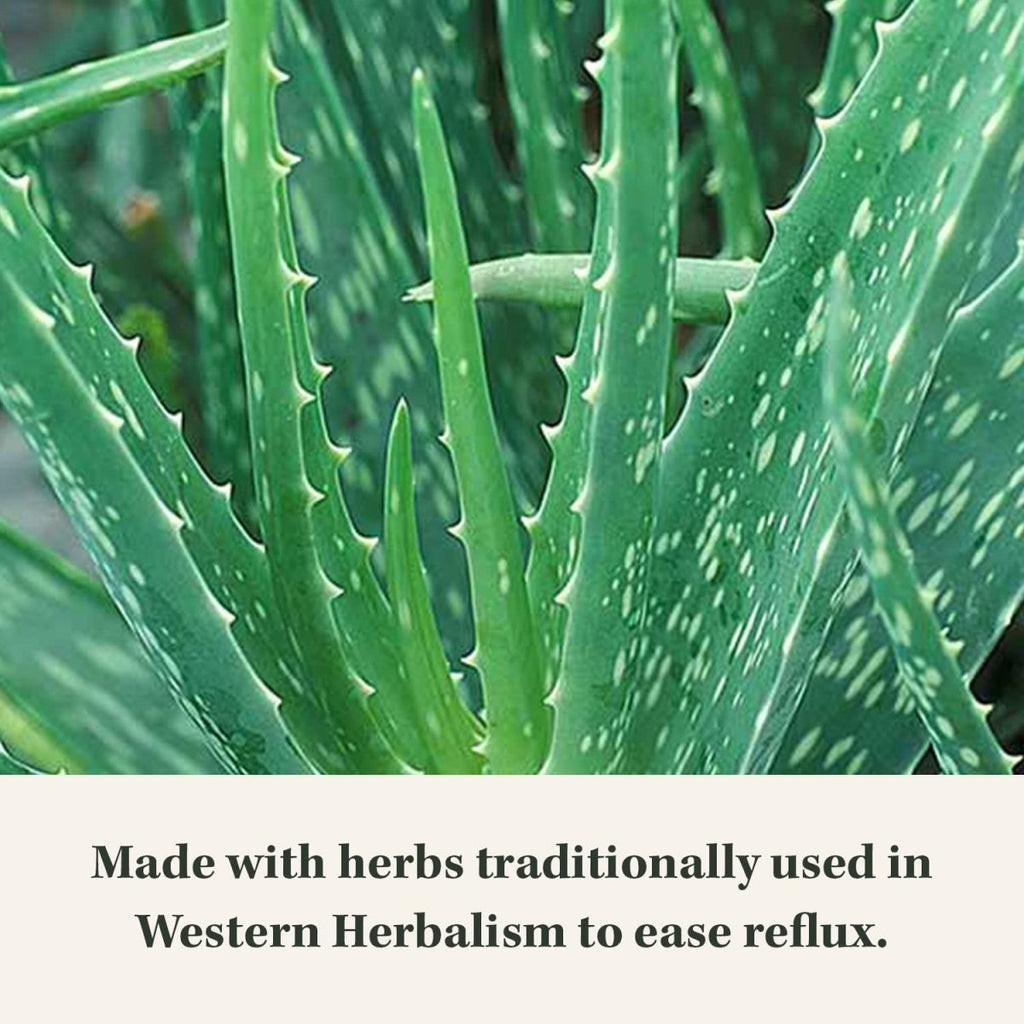 Gaia Herbs Reflux Relief -  - 45 Chewable Tablets (45-Day Supply)