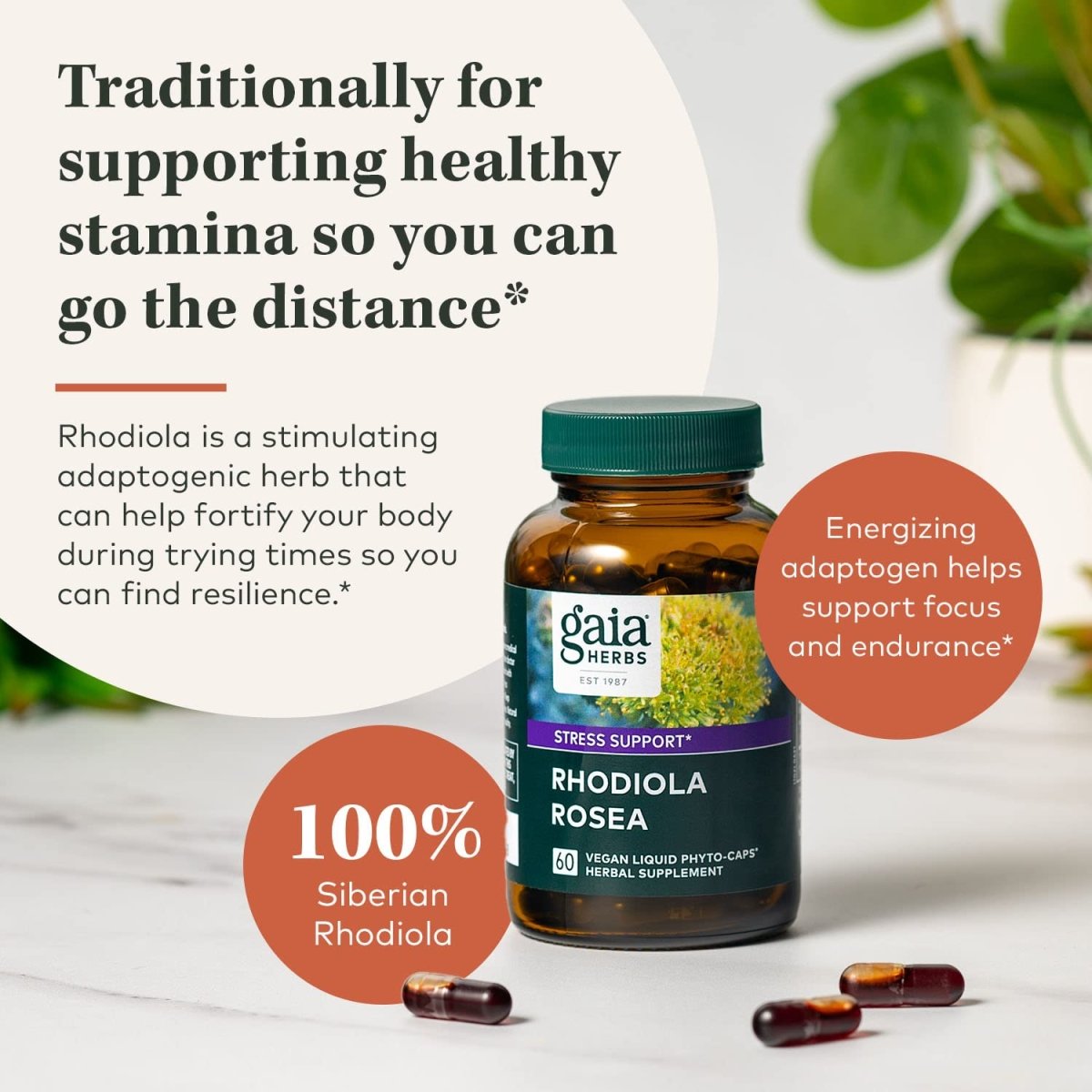 Gaia Herbs Rhodiola Rosea -  120 Vegan Liquid Phyto-Capsules (60-Day Supply)