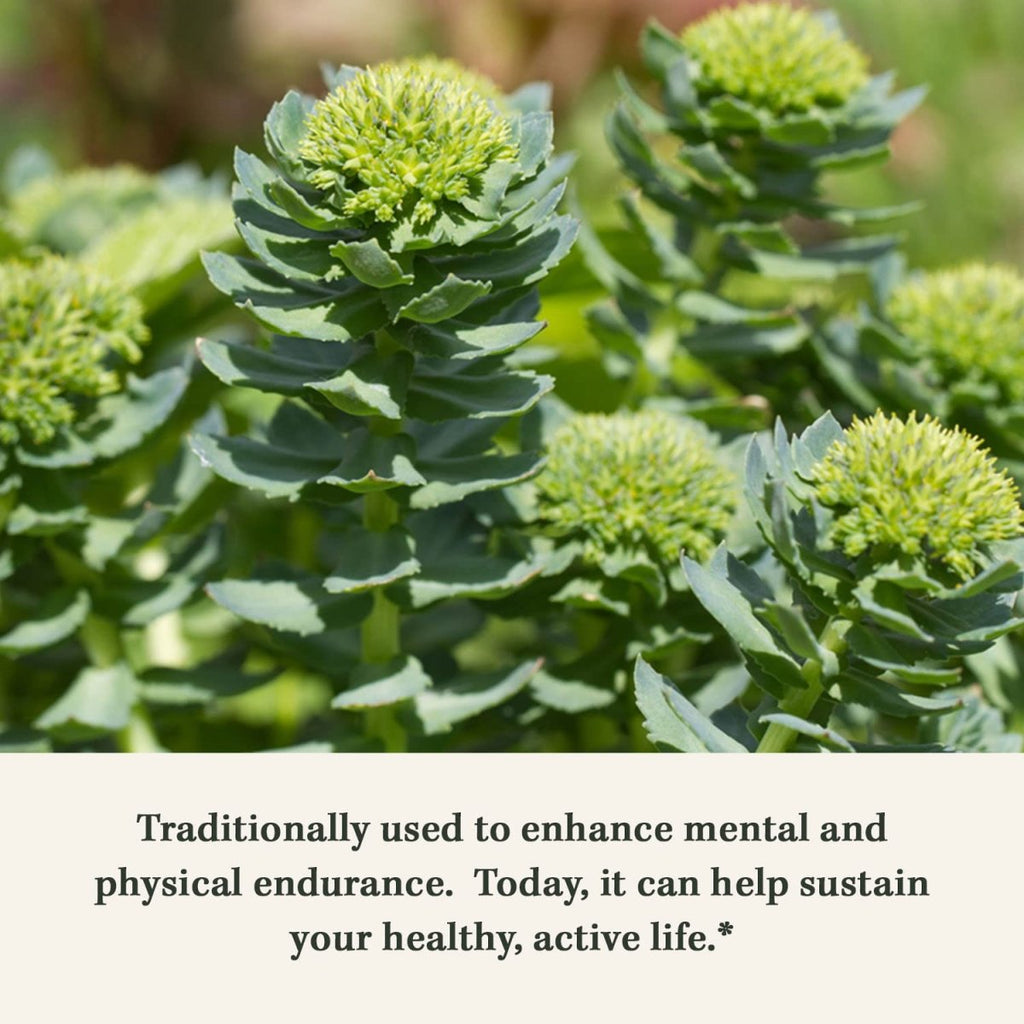 Gaia Herbs Rhodiola Rosea - Stress Support Supplement Traditionally for Supporting Healthy Stamina and Endurance - with Siberian Rhodiola Root Extract - 60 Vegan Liquid Phyto-Capsules (30-Day Supply)