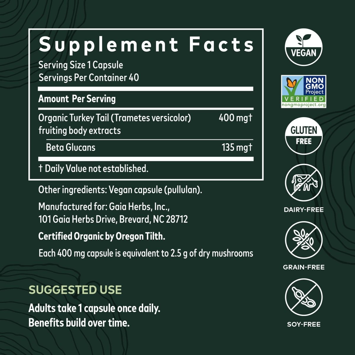 Gaia Herbs Turkey Tail Mushroom - Immune Support Supplement to Help Maintain Liver Health - with Organic Turkey Tail Mushroom Fruiting Body Extract - 40 Vegan Capsules