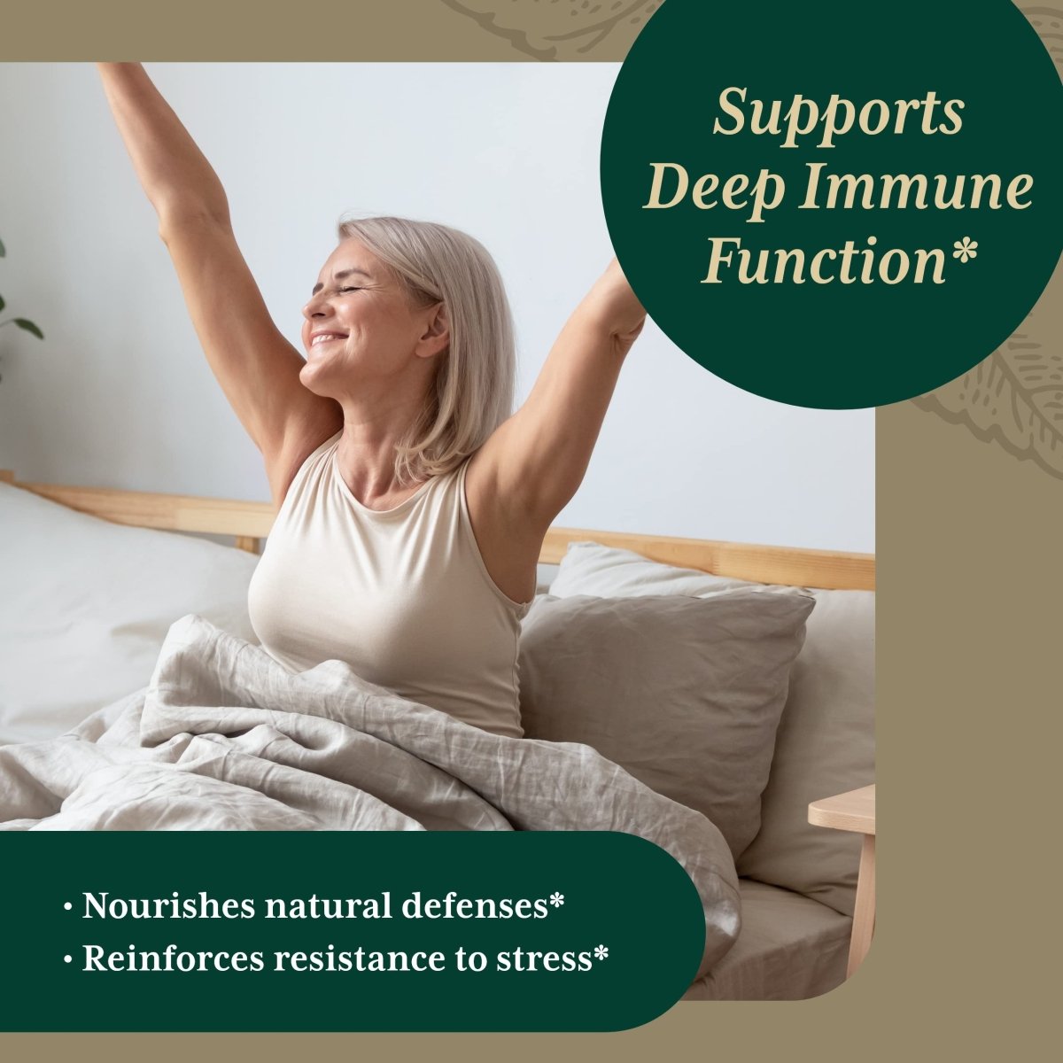 Gaia Pro 3 in 1 Immune Formula (formerly Astragalus Supreme) 2oz