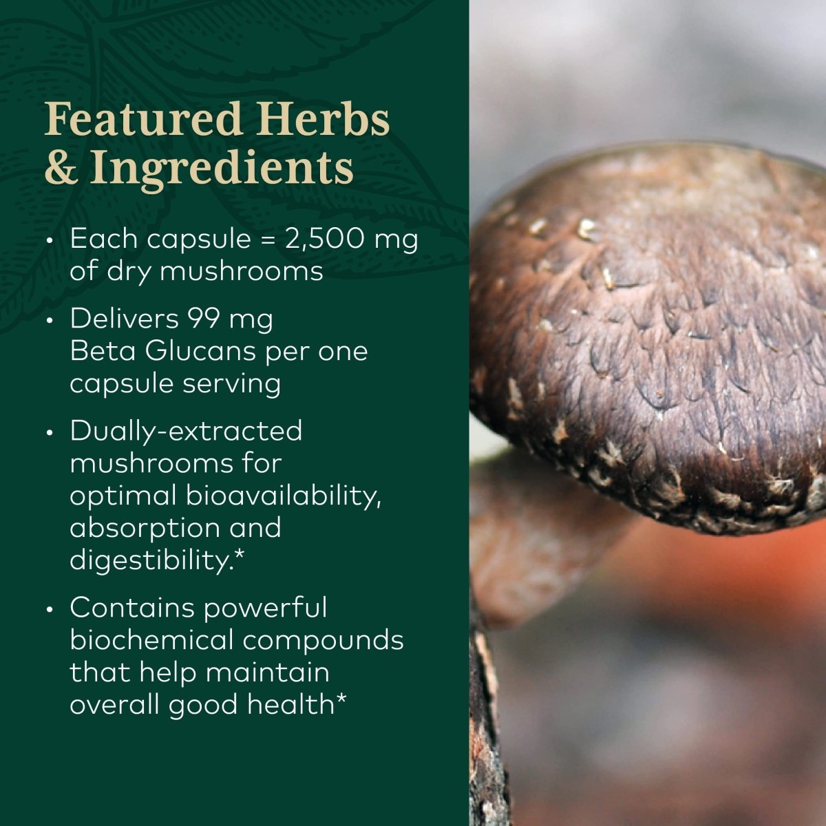 Gaia PRO Daily Mushroom Immune