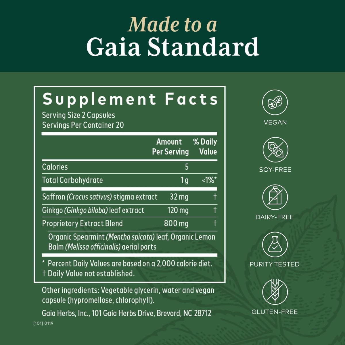 Gaia PRO Nootropic Focus - Supports Healthy Concentration - with Saffron Extract, Ginkgo Biloba, Organic Spearmint Extract & Lemon Balm Extract - 40 Vegan Liquid Phyto-Capsules (20 Servings)