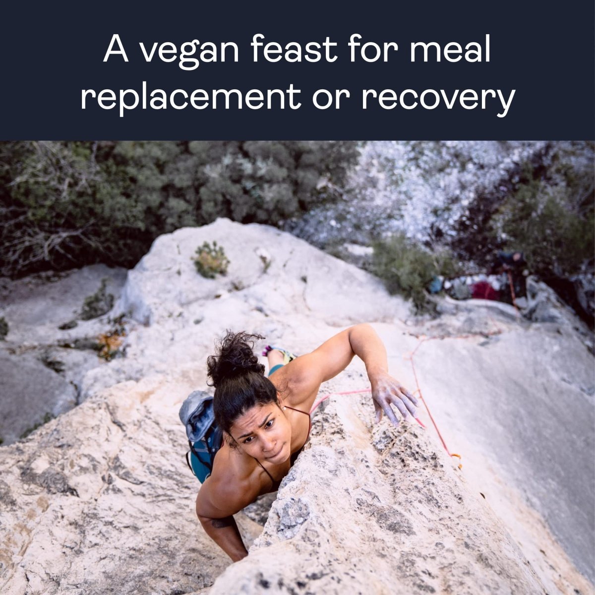 Gnarly Nutrition - Vegan Plant Protein Meal Replacement Powder Vanilla - 28.2 oz.