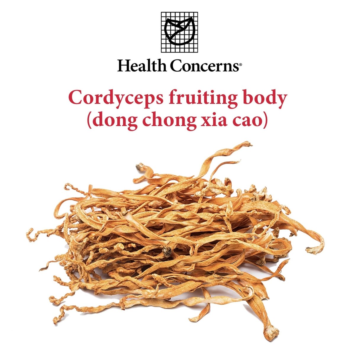 Health Concerns - CordySeng 50 gms