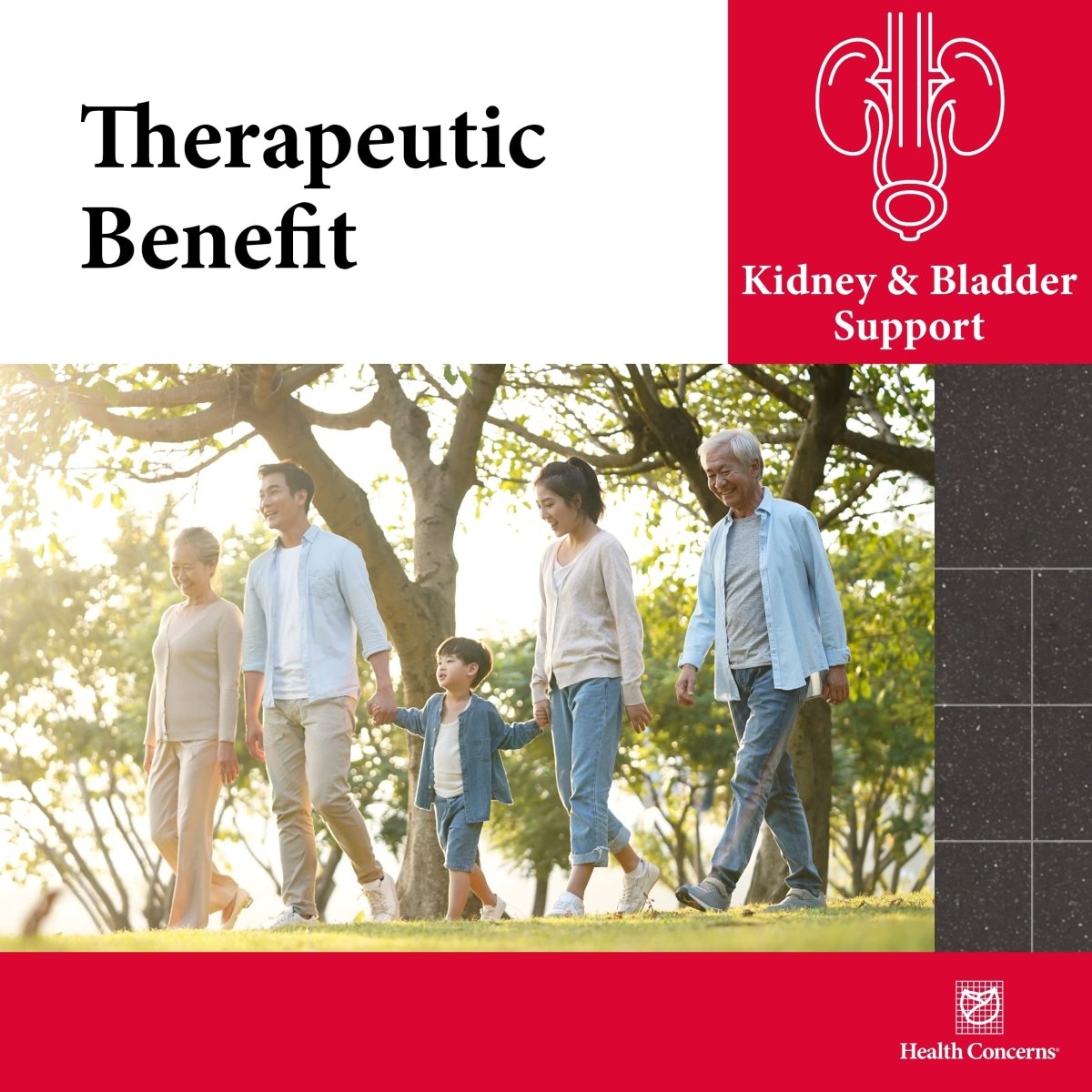 Health Concerns Drain Dampness - Kidney Support & Health Supplement - Bladder Health - 90 Capsules
