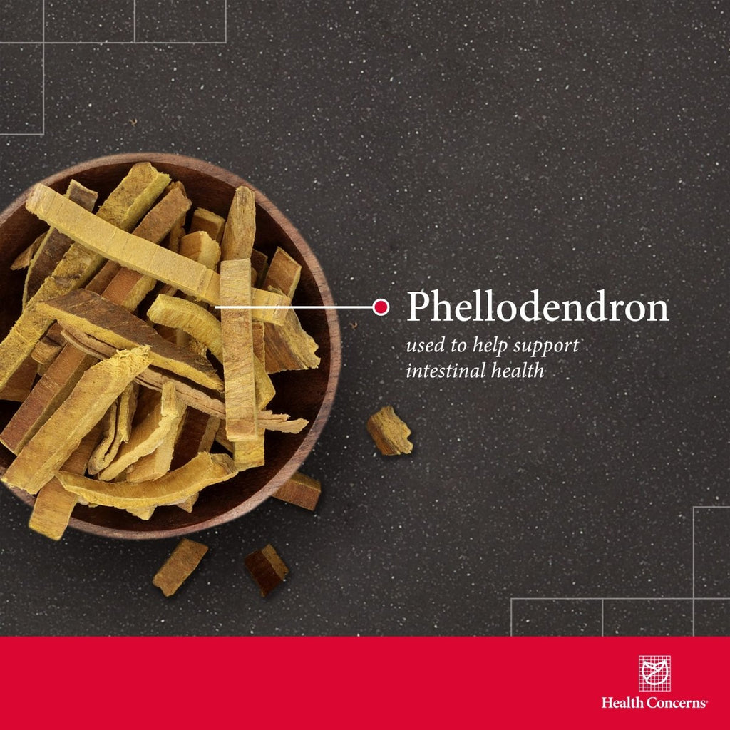 Health Concerns Phellostatin 270 Tablets