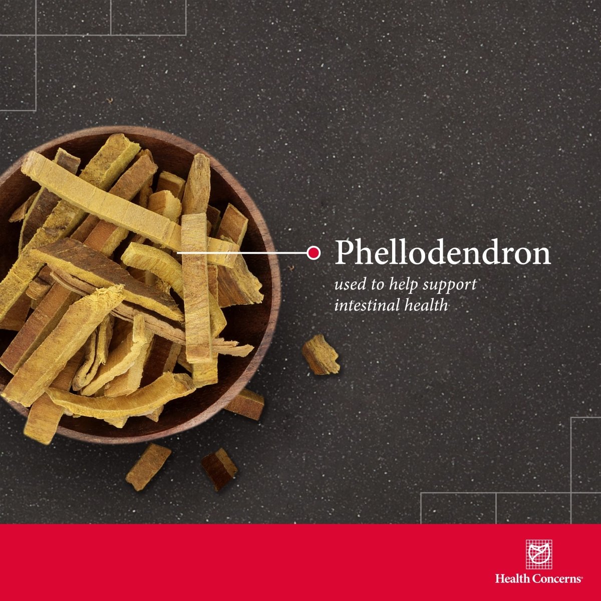 Health Concerns Phellostatin 270 Tablets