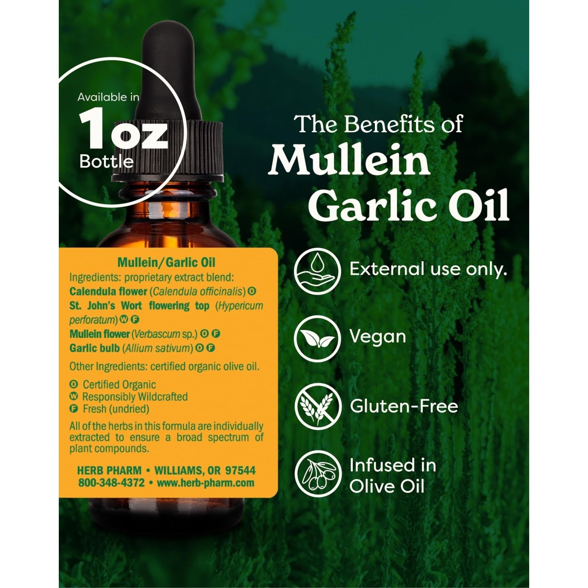 Herb Pharm Mullein Garlic Oil 1oz