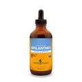 Herb Pharm Spilanthes 1oz