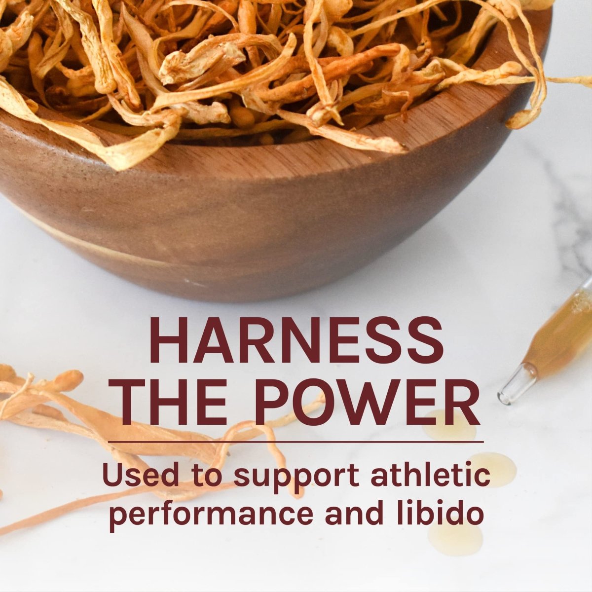 Host Defense Cordyceps Extract 2oz -