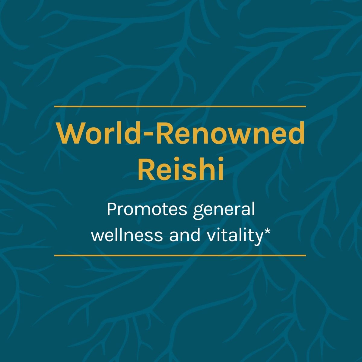 Host Defense Reishi 120 Vcaps