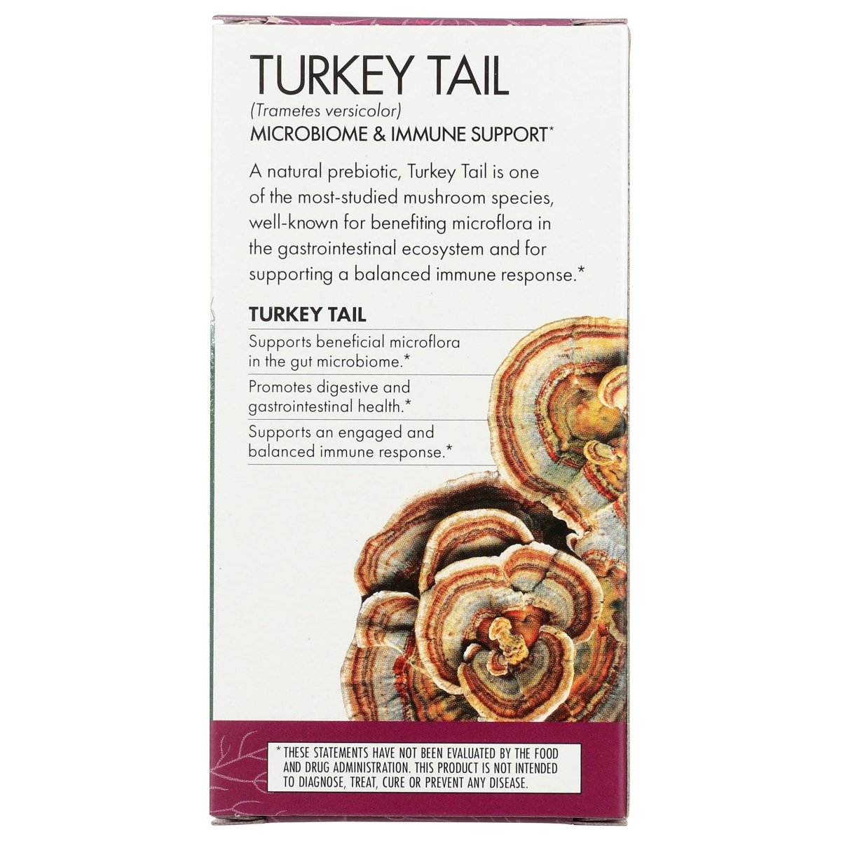 Host Defense Turkey Tail 120 Vcaps -