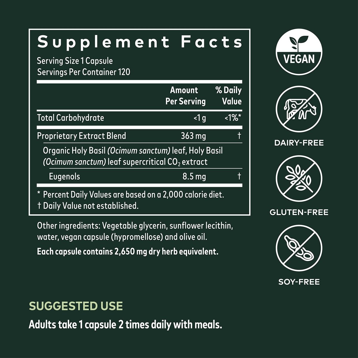 Gaia Herbs Holy Basil Leaf - Helps Sustain a Positive Mindset and Balance in Times of Stress - an Adaptogenic Ayurvedic Herb - 120 Vegan Liquid Phyto-Capsules (60-Day Supply)
