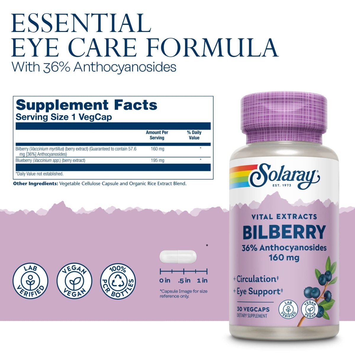 SOLARAY Bilberry Extract 160 mg VegCaps | Eye Health & Circulation Support | 36% Anthocyanosides with Blueberry | Vegan | 30 Count