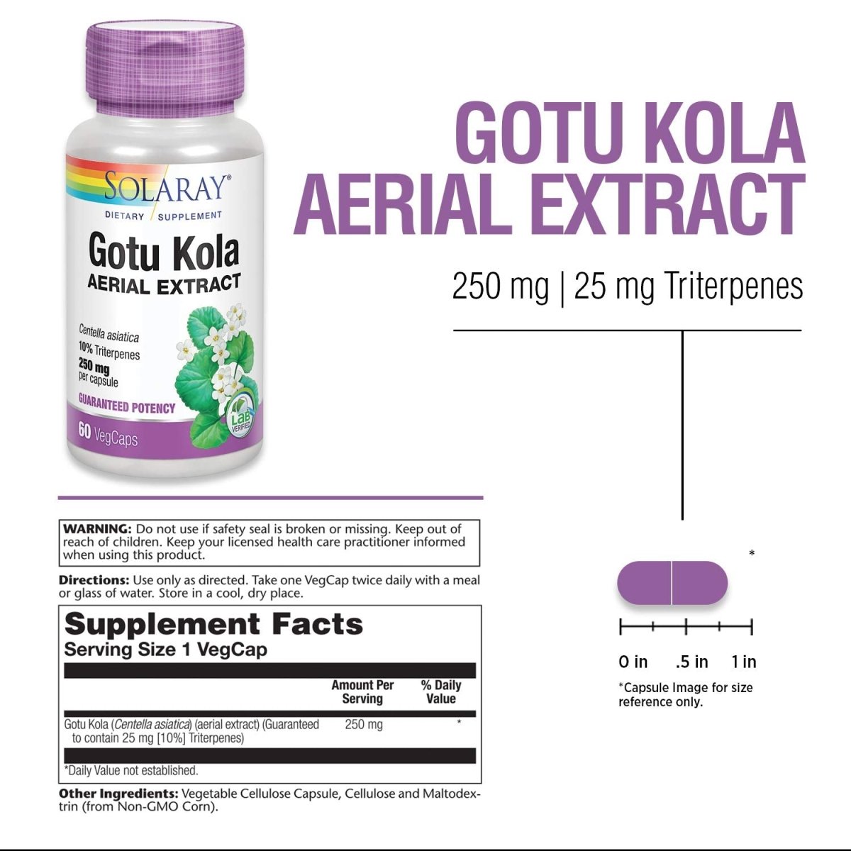 Solaray Gotu Kola Aerial Extract 250mg - 60 VegCaps