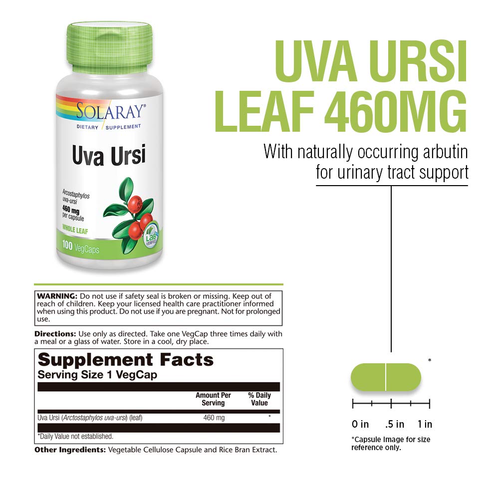 SOLARAY Uva Ursi Leaf 460 mg | Healthy Bladder, Kidney & Urinary Tract Function Support | Non-GMO | 100ct (Take 3 Daily)