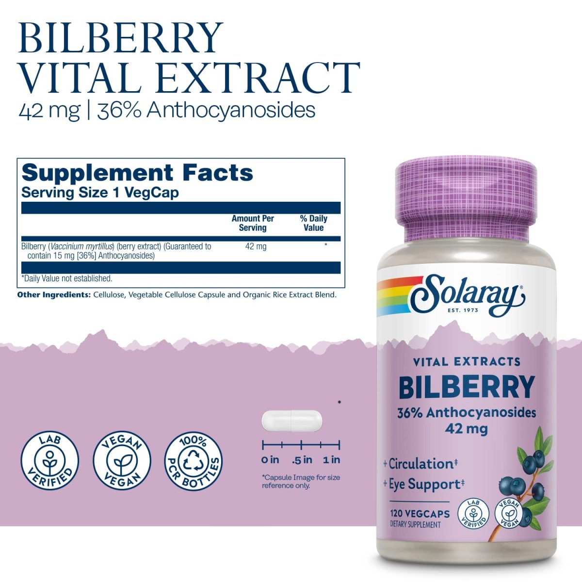 SOLARAY Bilberry Berry Extract - Eye Health & Circulation Support - 120 VegCaps