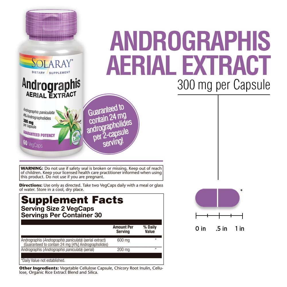 Solaray Andrographis Aerial Extract 600 mg - Immune & Respiratory Support - 60 VegCaps
