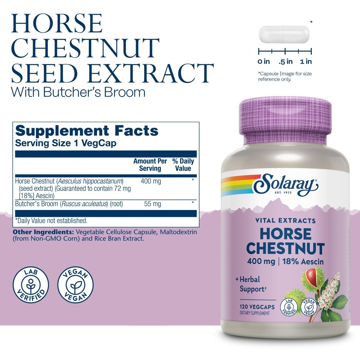 SOLARAY Horse Chestnut Seed Extract 400mg, Healthy Leg Vein, Blood Vessel & Circulation Support, 120 Serv, 120 VegCaps