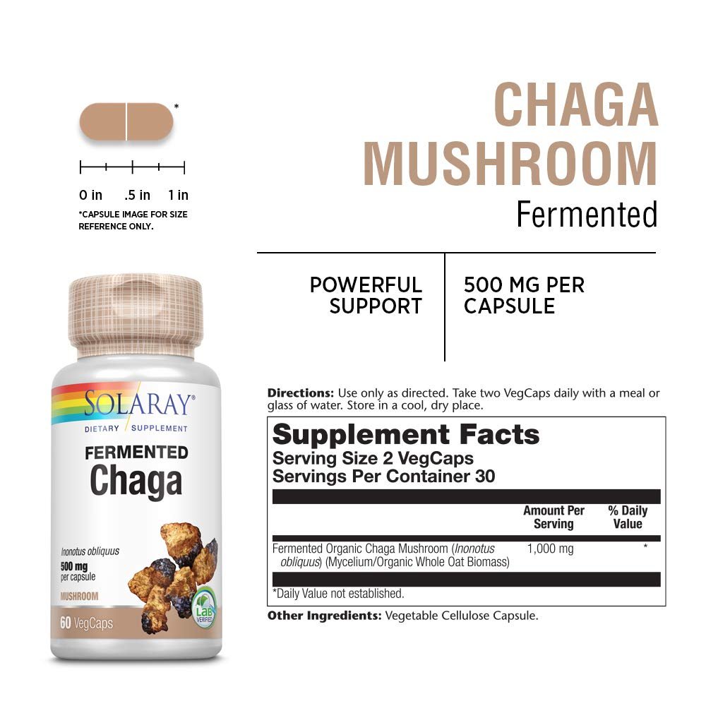 SOLARAY Fermented Chaga Mushroom 500 mg | Healthy Immune Function Support | 30 Servings | 60 VegCaps