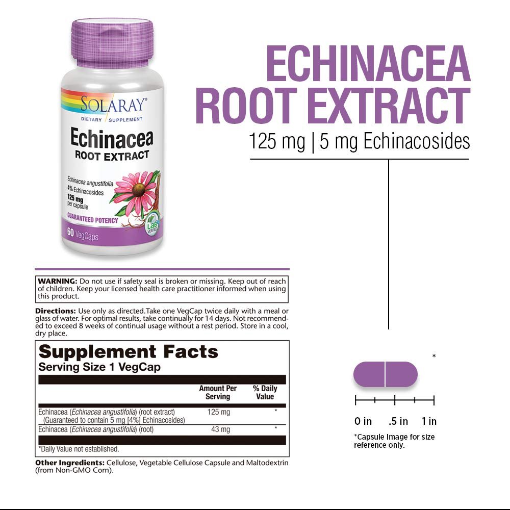 SOLARAY Echinacea Angustifolia Root Extract 125 mg | Healthy Immune & Respiratory Function Support | 60 VegCaps