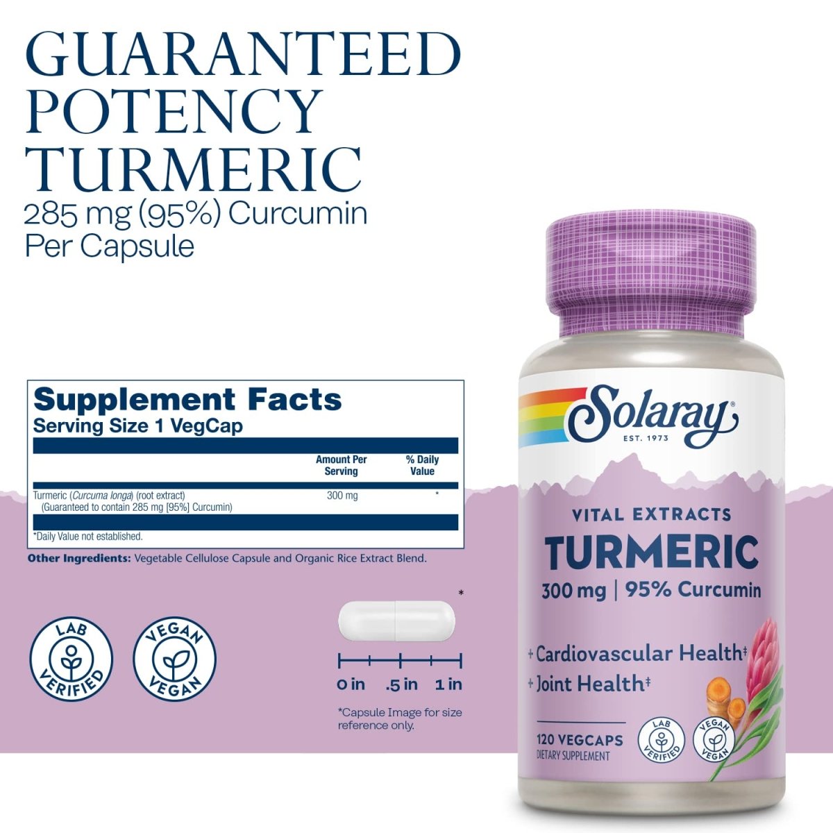 Solaray Guaranteed Potency Turmeric Root Extract 300 mg VCapsules, 120 Count