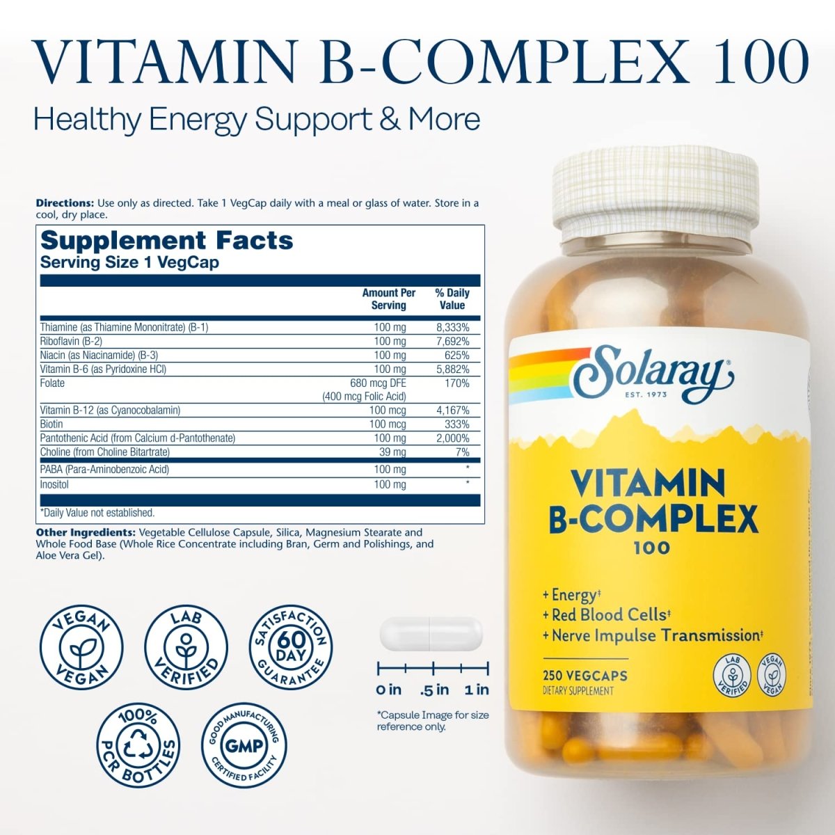 Solaray Vitamin B Complex 100 mg - Comprehensive B Vitamins for Healthy Energy and Vitality - 250 VegCaps