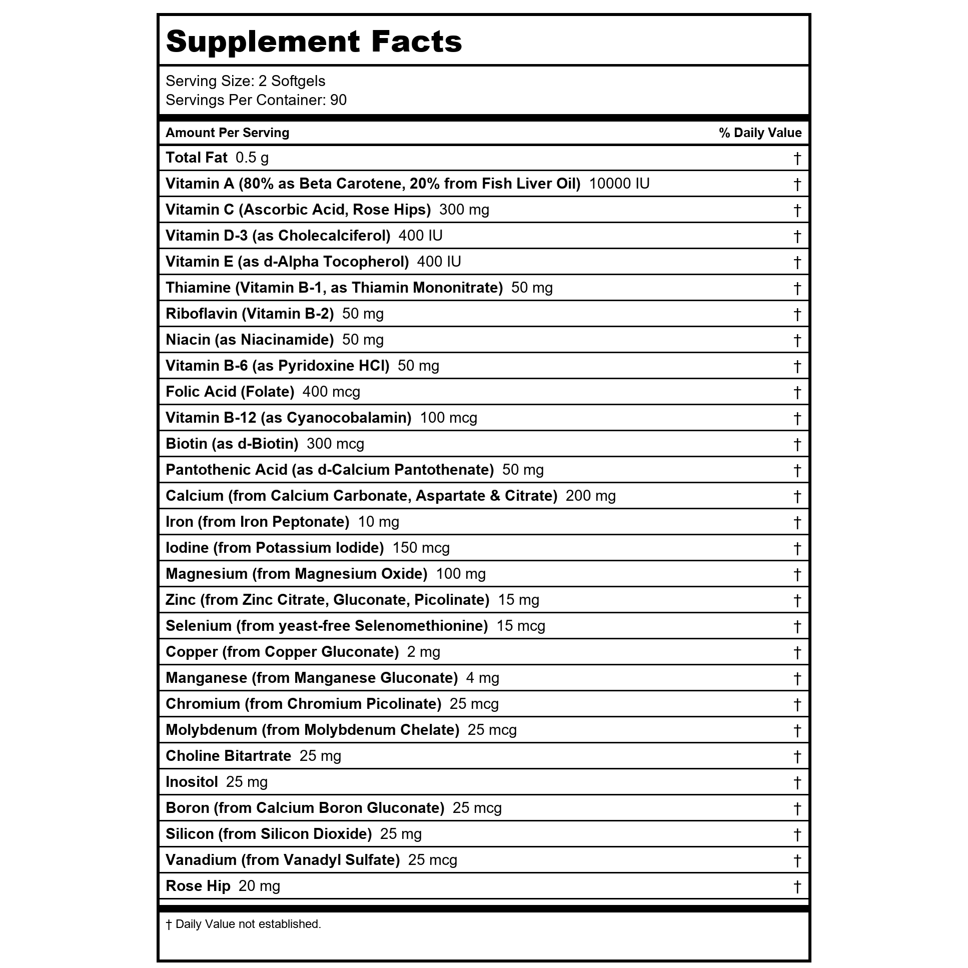 Nature's Life Soft Gelatin Multiple 120 Softgels