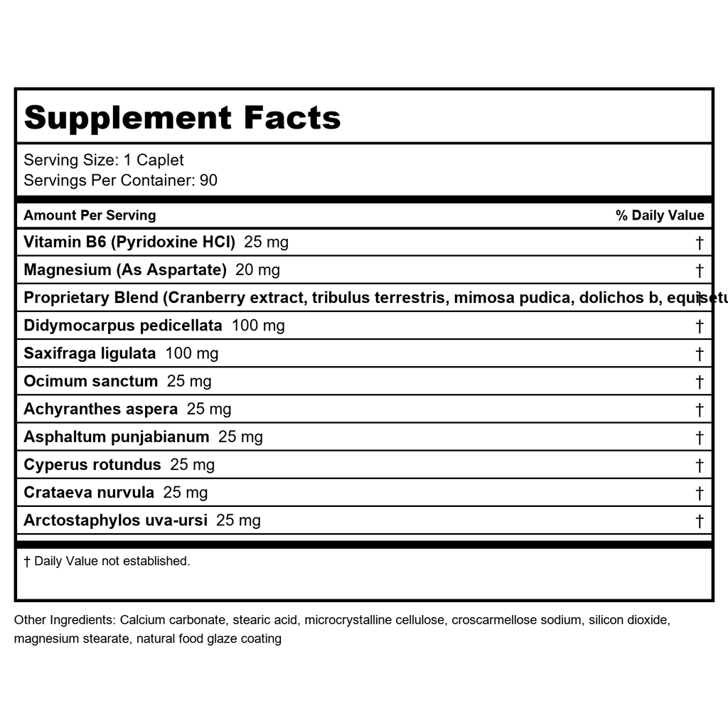 Ayush Herbs SupraMag 90 Vcaps