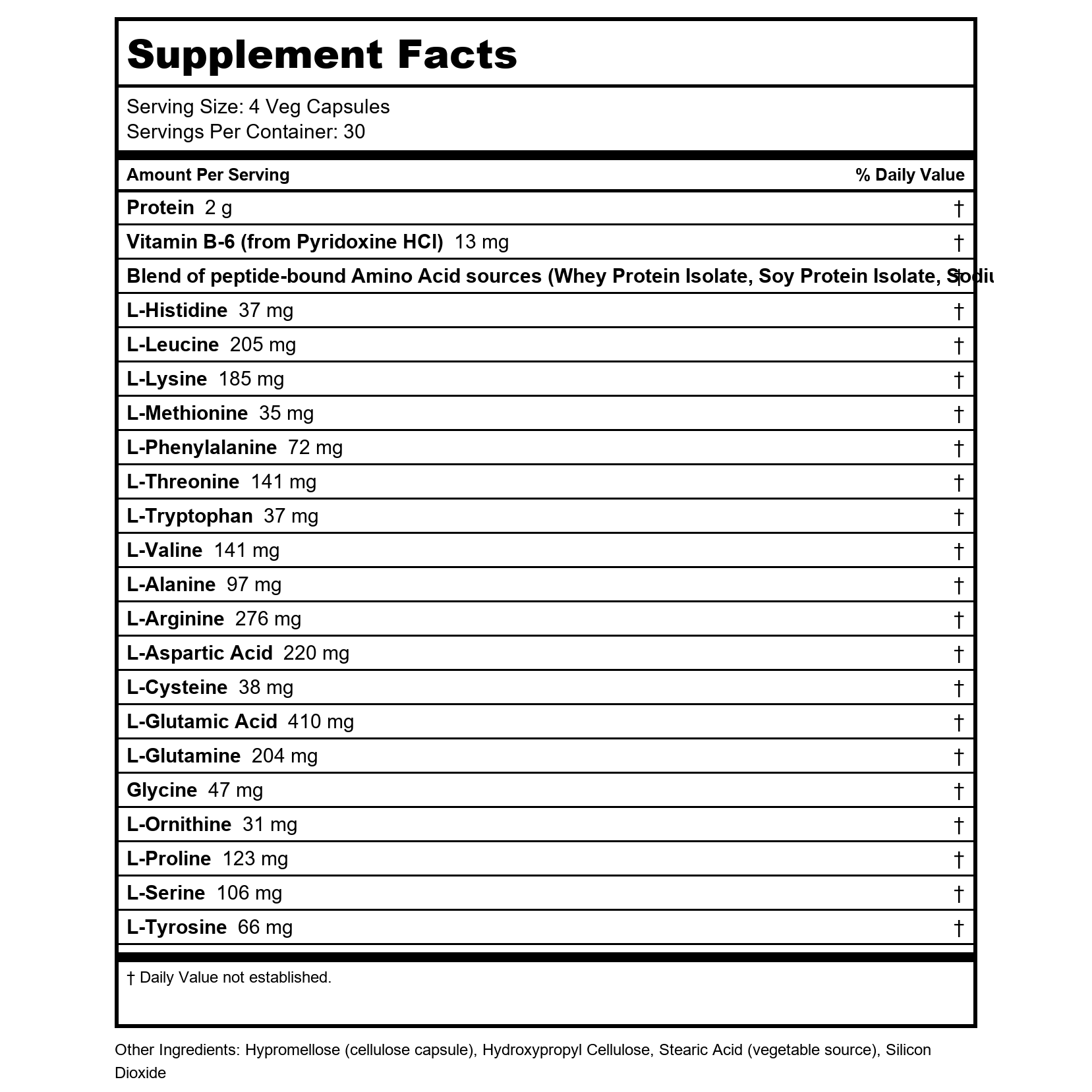 Now Sports Amino Complete 360 Vcaps - 0013 - 6 Pack