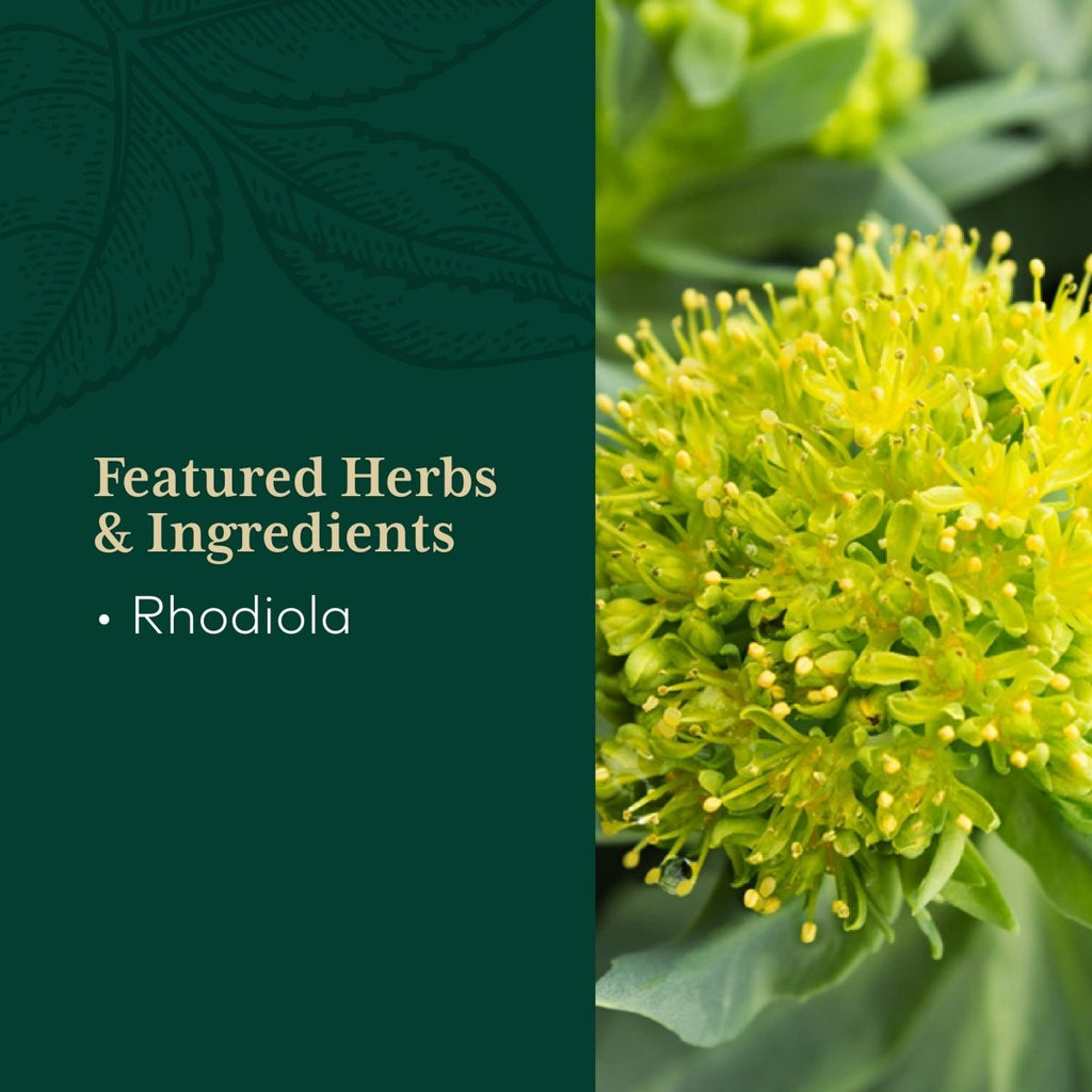 Gaia PRO Rhodiola - Your Key to Adaptogen Stress Support & Relief 60 Capsules
