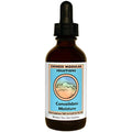 Kan Herb Chinese Modular Solutions Consolidate Moisture 1 Ounce