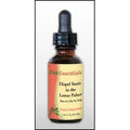 Kan Herb Essentials Dispel Stasis in The Lower Palace 1 Ounce