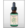 Kan Herb Singles Chrysanthemum Flower 1 Ounce