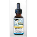 Kan Herb Traditionals Bright Eye Rehmannia 8 Ounce