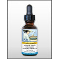 Kan Herbs - Angelica and Eucommia Support 1 Oz