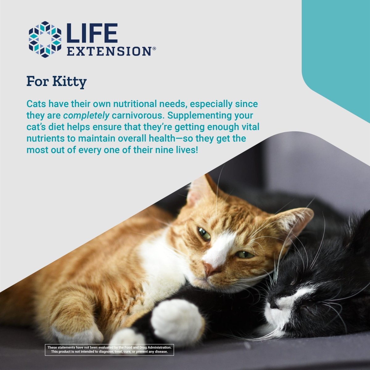 Life Extension Cat Mix ? For Heart, Kidney & Pancreatic Function + Gut Health ?with Vitamins & Essential Nutrients - Formula For Kitty - Gluten-Free, Non-GMO ? Net Wt.100 Grams (85 Servings)