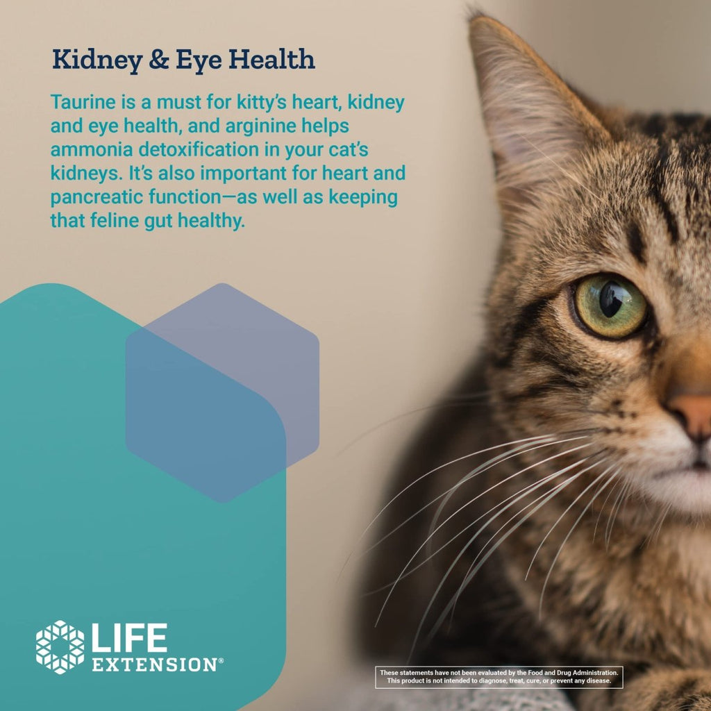 Life Extension Cat Mix ? For Heart, Kidney & Pancreatic Function + Gut Health ?with Vitamins & Essential Nutrients - Formula For Kitty - Gluten-Free, Non-GMO ? Net Wt.100 Grams (85 Servings)