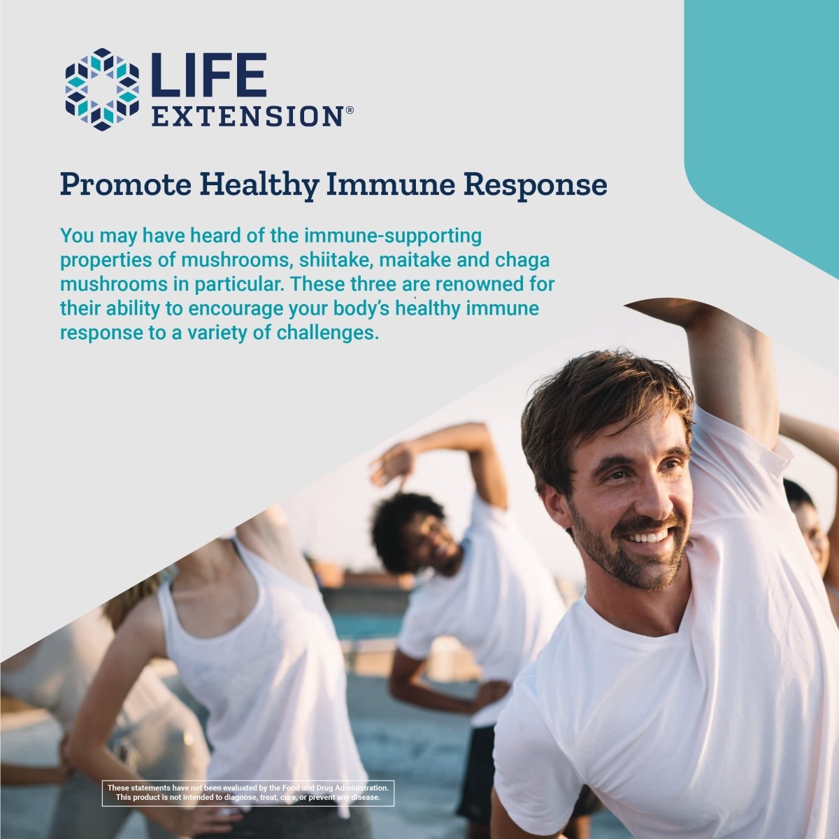 Life Extension - Mushroom Immune with Beta Glucans - 30 Vegetarian Capsules