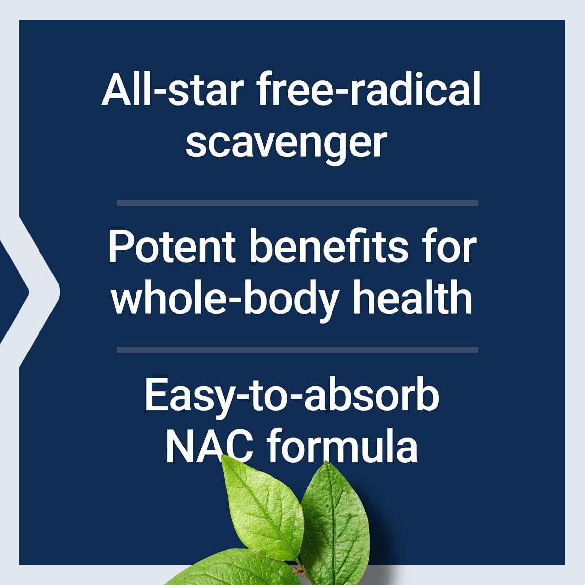 Life Extension N-Acetyl-L-Cysteine 60 Capsules