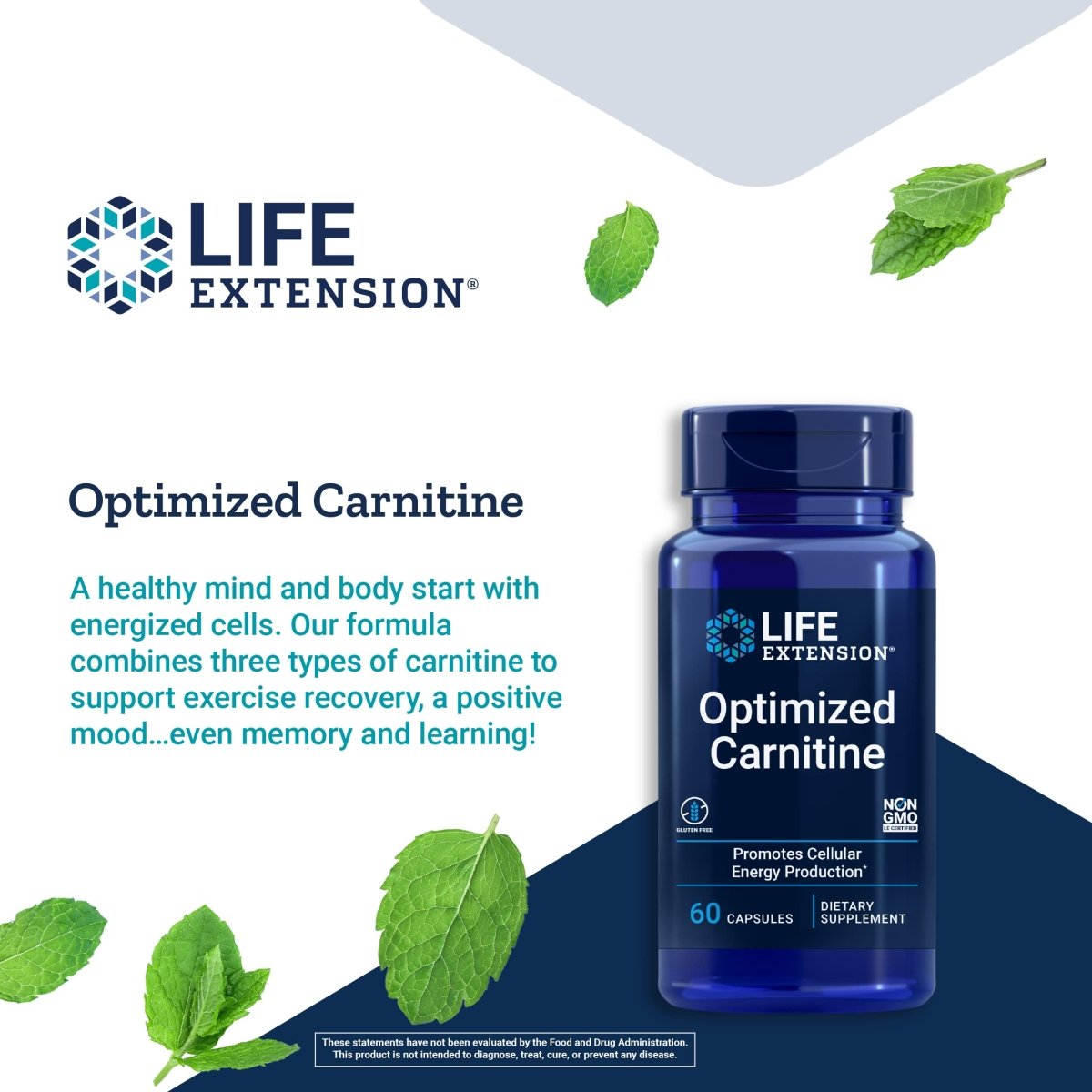 Life Extension Optimized Carnitine 60 Capsules