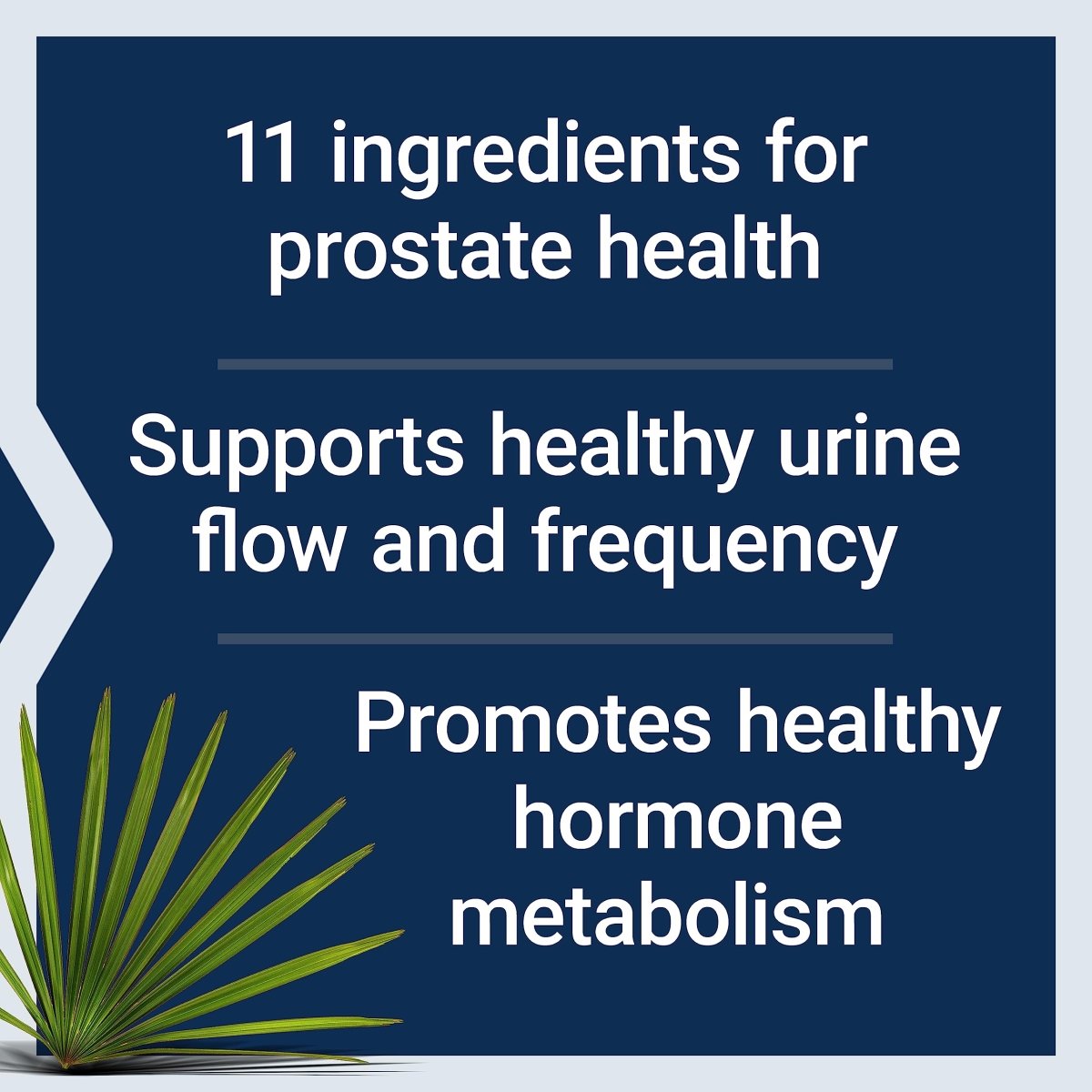 Life Extension Ultra Prostate Formula 60 Softgels