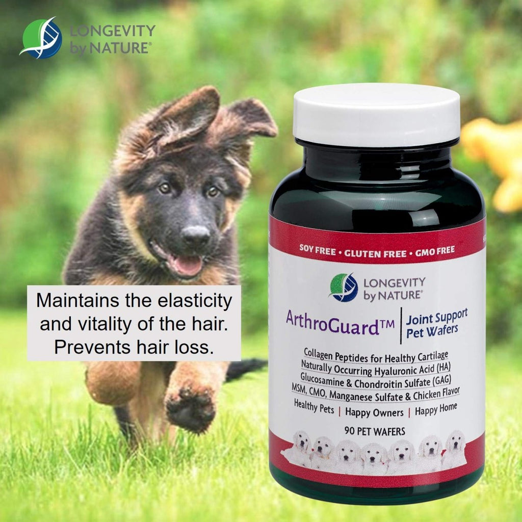 Longevity by Nature - ArthroGuard Joint Support Pet Wafers - 90 Wafers